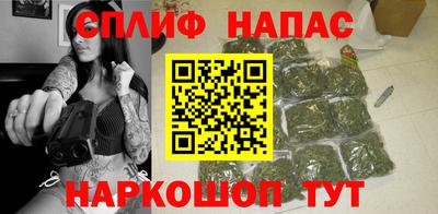 крисы Севастополь